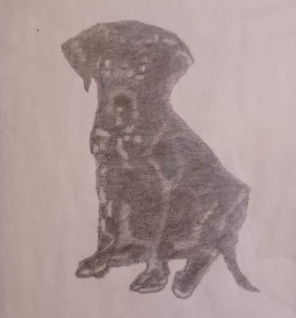 Tiny Marf puppy illustration